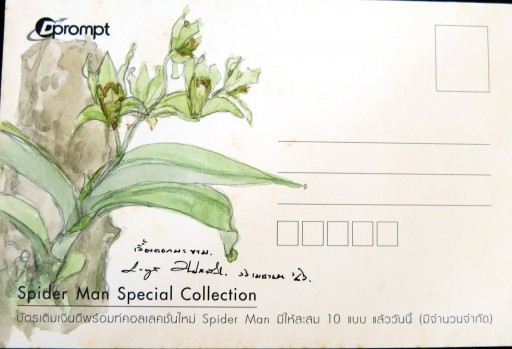 floweronpostcard-1-4